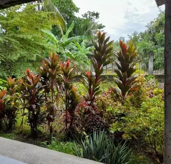 ベッドアンドブレックファースト Dumahostel