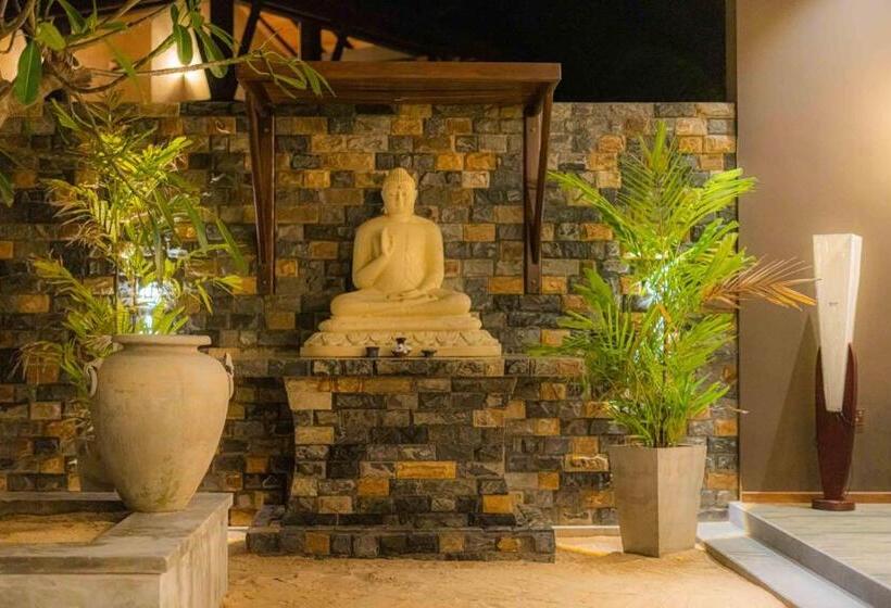 בית מלון כפרי Blue Waves Kite Surfing Beach Resort