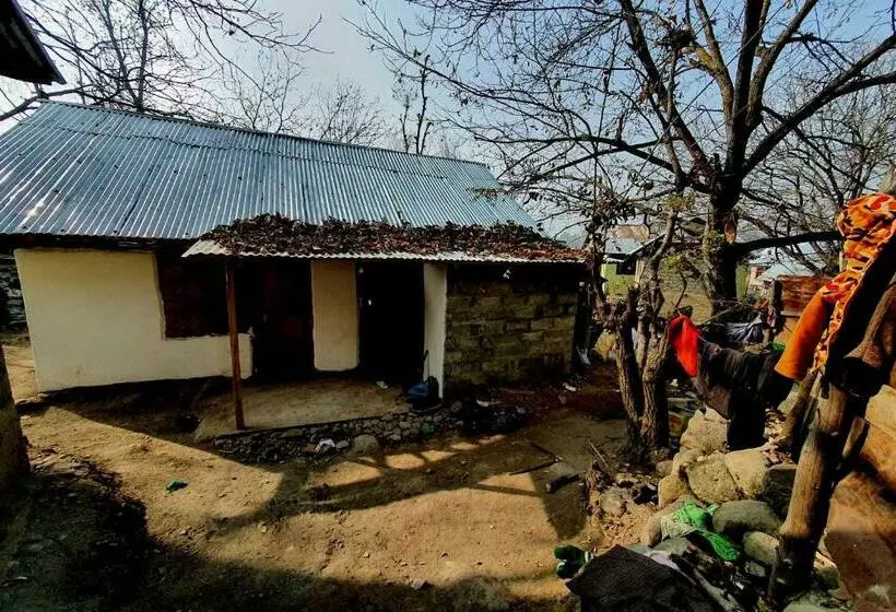 هتل O Kohsheen Guest House