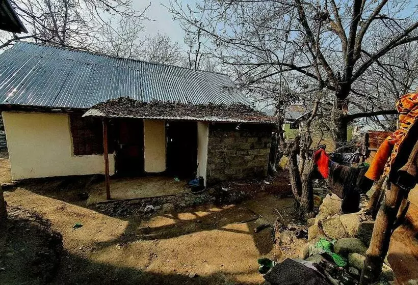 هتل O Kohsheen Guest House
