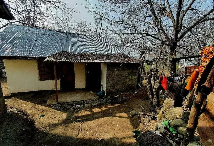 هتل O Kohsheen Guest House