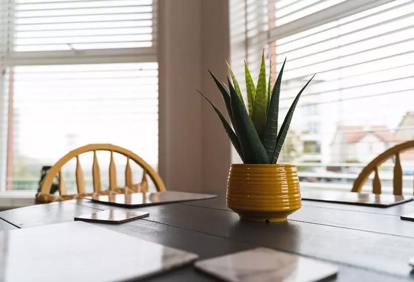 Beachmount Holiday Apartments