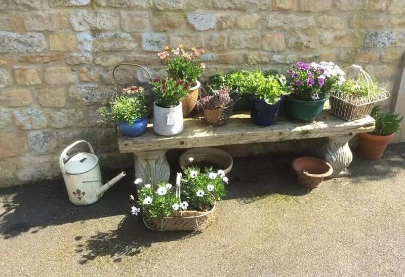 민박 Broccoli Bottom