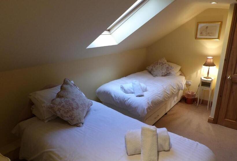 Bed and Breakfast Broccoli Bottom