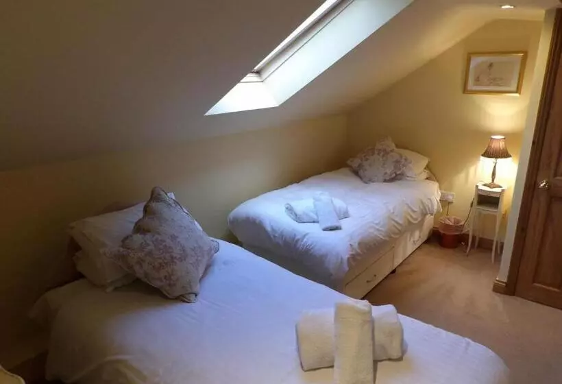 민박 Broccoli Bottom