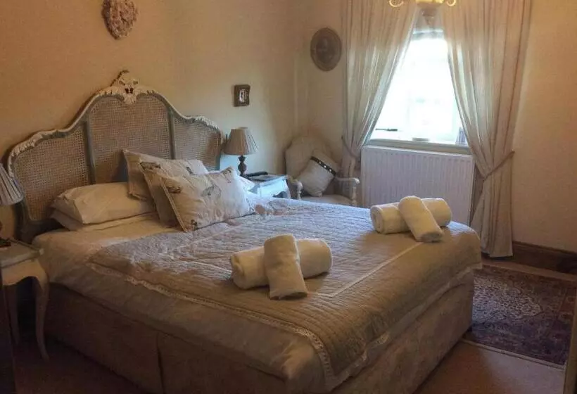 민박 Broccoli Bottom