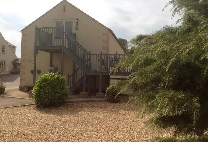 민박 Broccoli Bottom