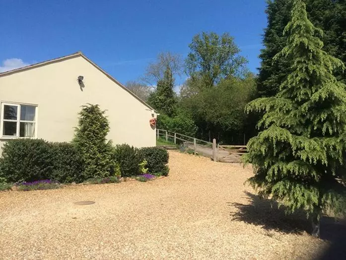 민박 Broccoli Bottom