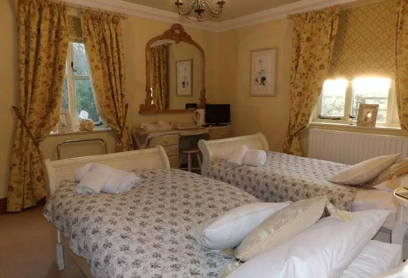 민박 Broccoli Bottom