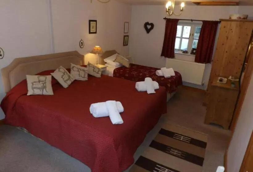 민박 Broccoli Bottom