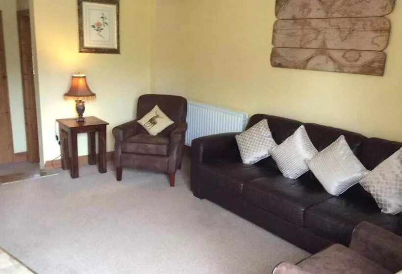 민박 Broccoli Bottom