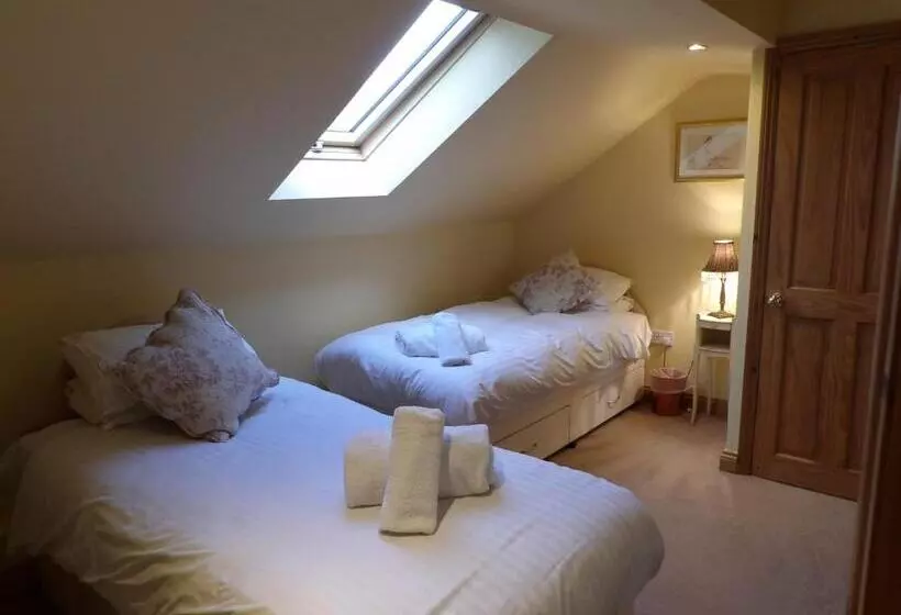 민박 Broccoli Bottom