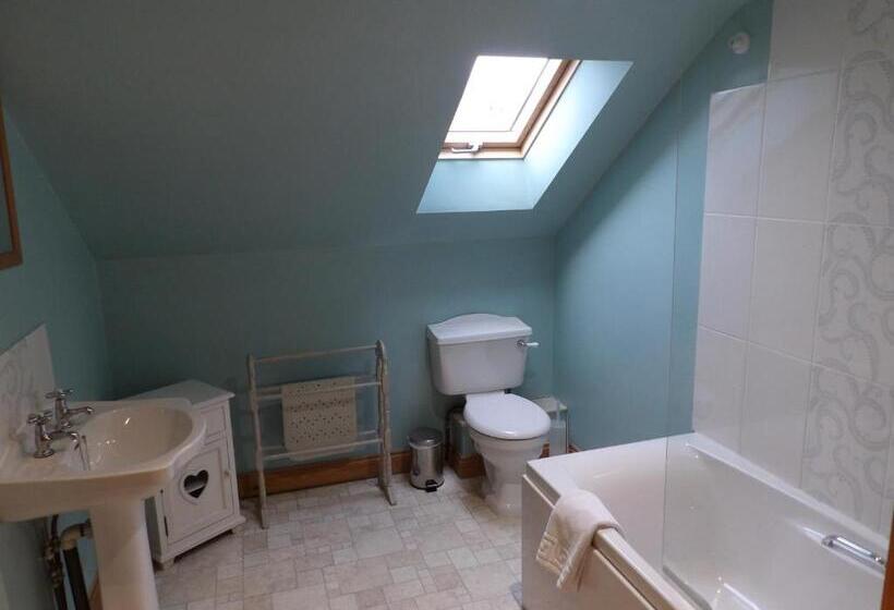 Bed and Breakfast Broccoli Bottom