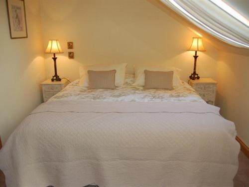 Bed and Breakfast Broccoli Bottom