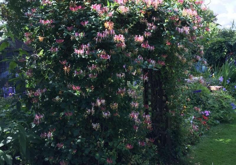 민박 Fairlight Lodge