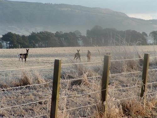 مبيت وإفطار Kelson Lodge