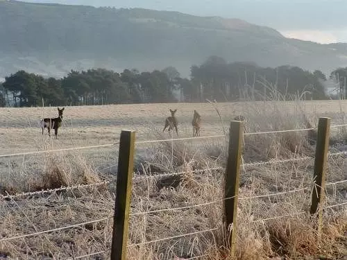 住宿加早餐  Kelson Lodge