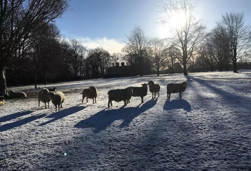 Bed and Breakfast The Old Vicarage