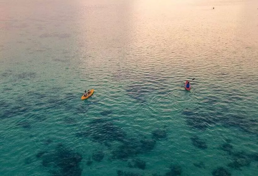 בית מלון כפרי Maui Palms