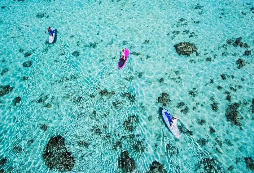 בית מלון כפרי Maui Palms