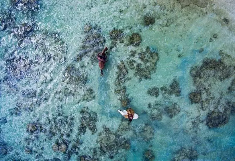 בית מלון כפרי Maui Palms