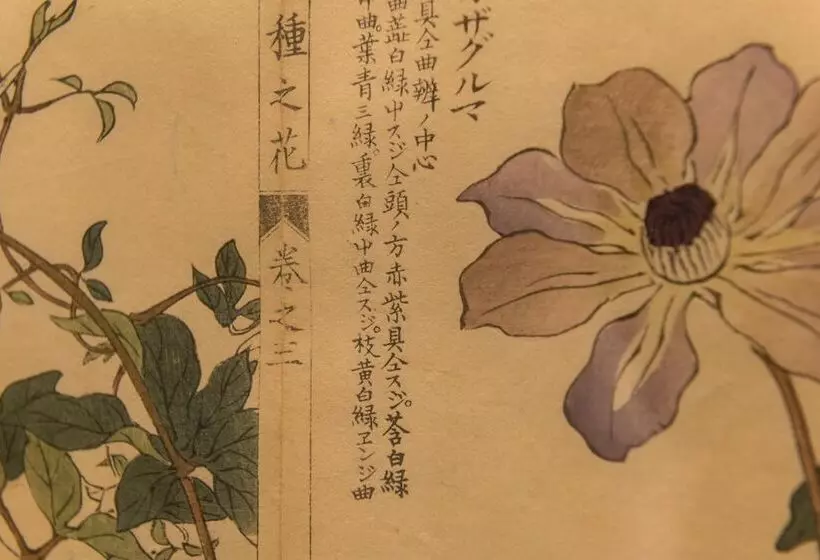 Отель The Bear Inn, Hodnet