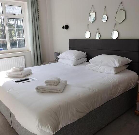 בית מלון כפרי The Dormy House