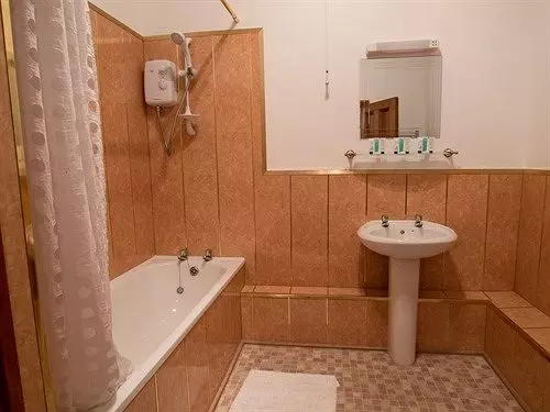 فندق The Lion Inn