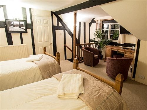 فندق The Lion Inn