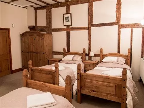 فندق The Lion Inn