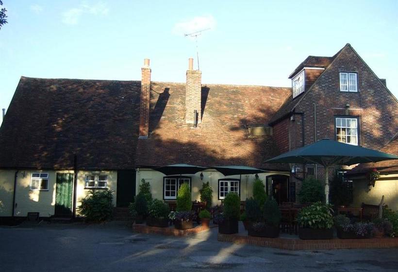 호텔 Ye Olde George Inn  Badger Pubs