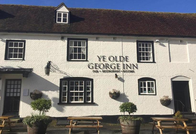 호텔 Ye Olde George Inn  Badger Pubs