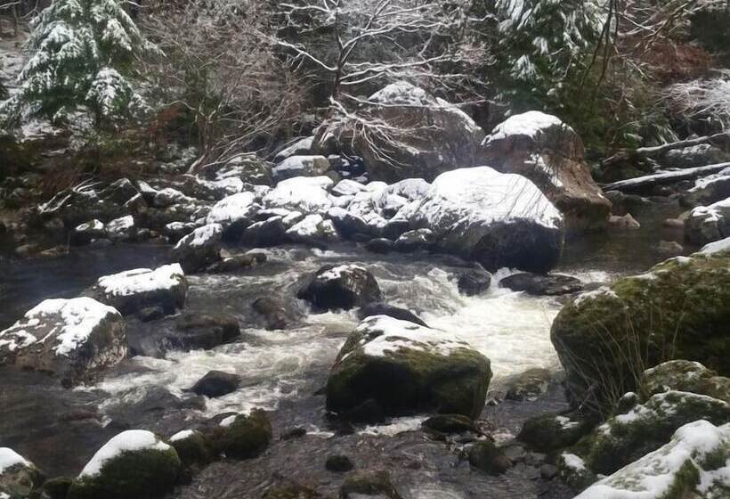 Oakfield House Bed And Breakfast