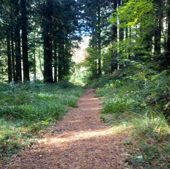 Oakfield House Bed And Breakfast