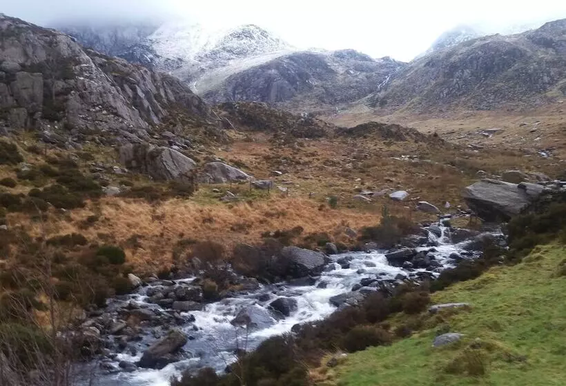 Oakfield House Bed And Breakfast