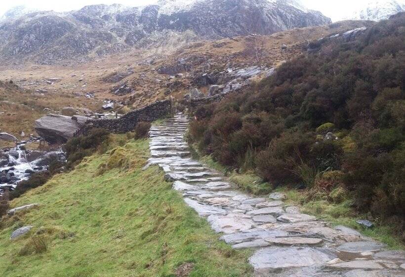 Oakfield House Bed And Breakfast