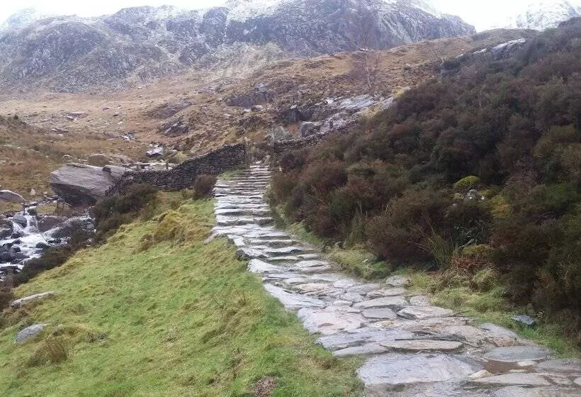 Oakfield House Bed And Breakfast