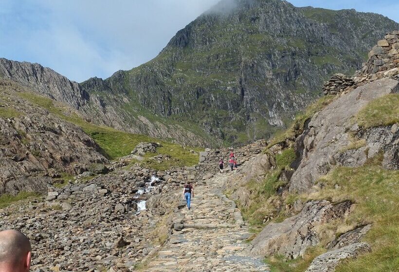 Oakfield House Bed And Breakfast