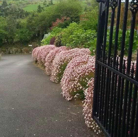 بنسيون Glenn Eireann House