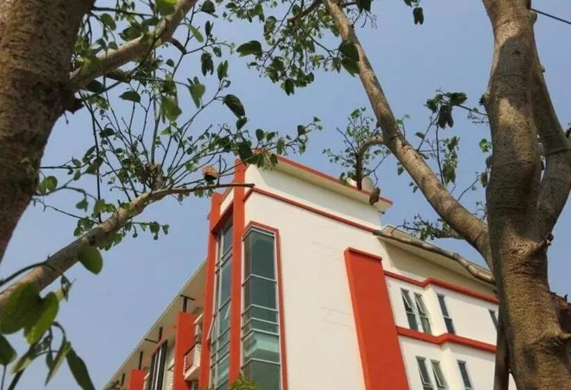 هاستل The Passion