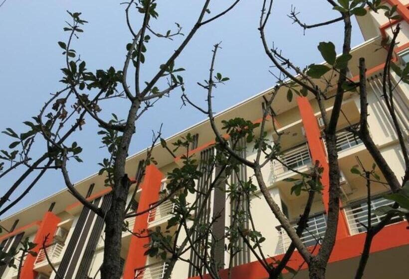 هاستل The Passion