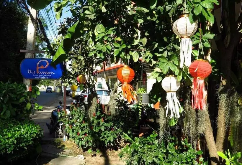 هاستل The Passion