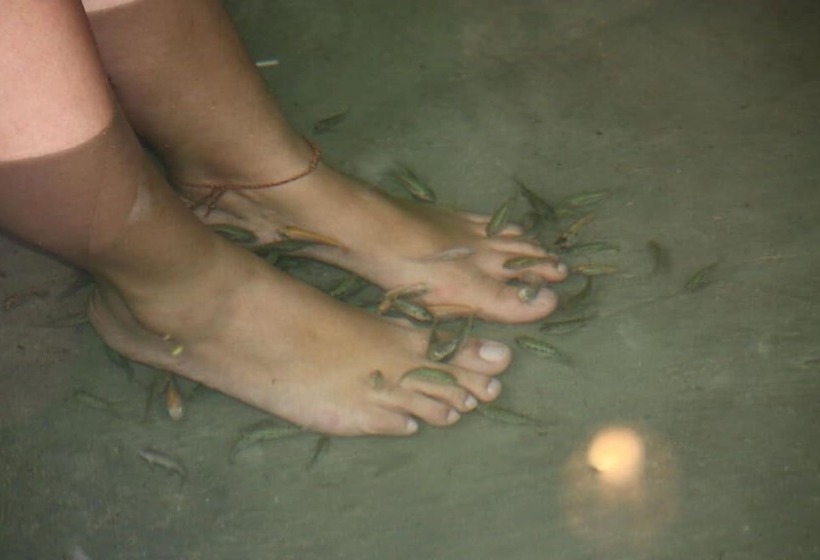 Bantayan Island Nature Park And Resort