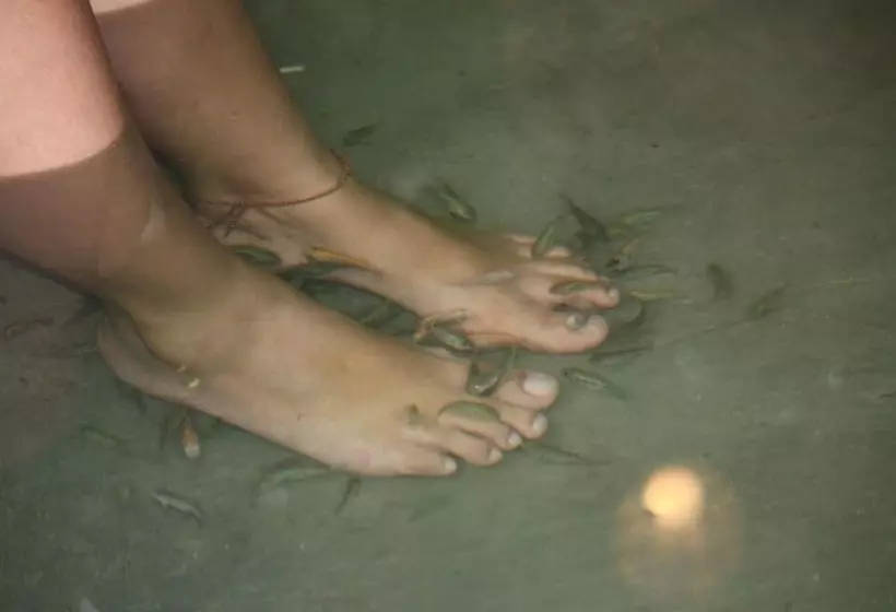 Bantayan Island Nature Park And Resort