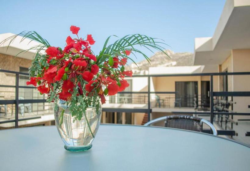 فندق Pedregal Suites   Marina And Downtown