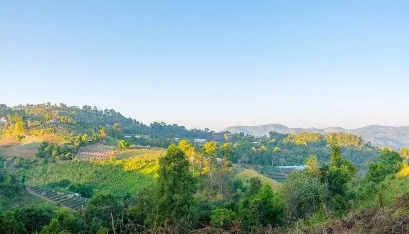 هتل Phumorkdao Resort
