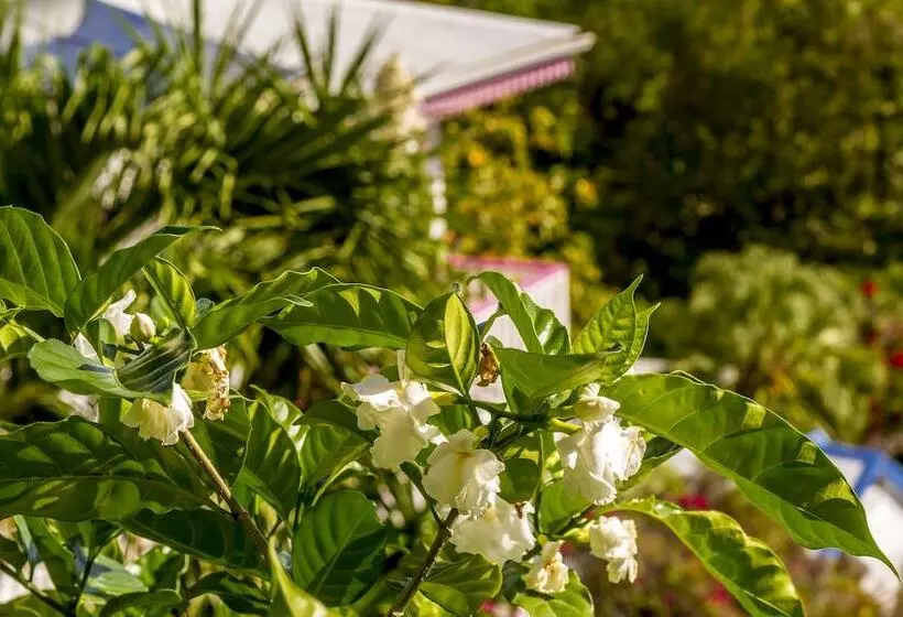 هتل Residence Oceane