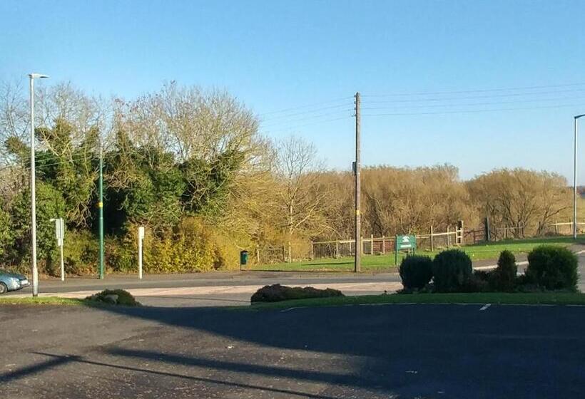 בית מלון כפרי Swan Studios