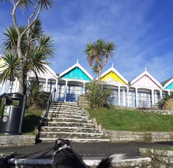 ペンション Valentine Guest House