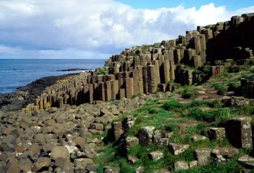 Wanderin Heights B&b